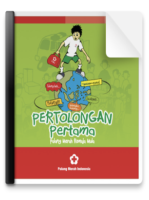 PP PMR MULA